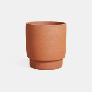 Chad Pot Terra